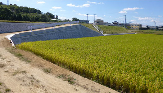 綾川地区　長池