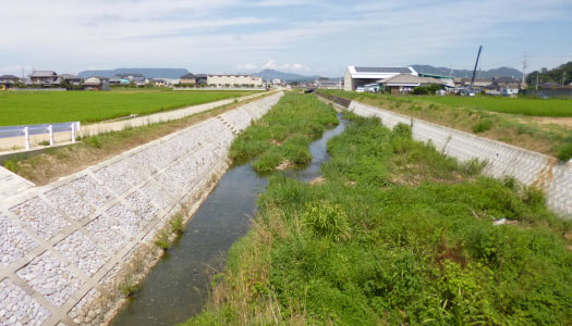 春日川支流古川